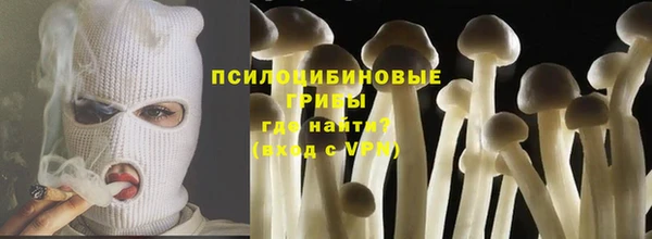 прущий лед Михайлов