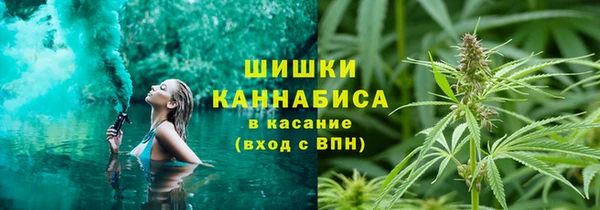крисы Михайловск
