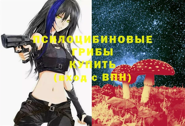 крисы Михайловск