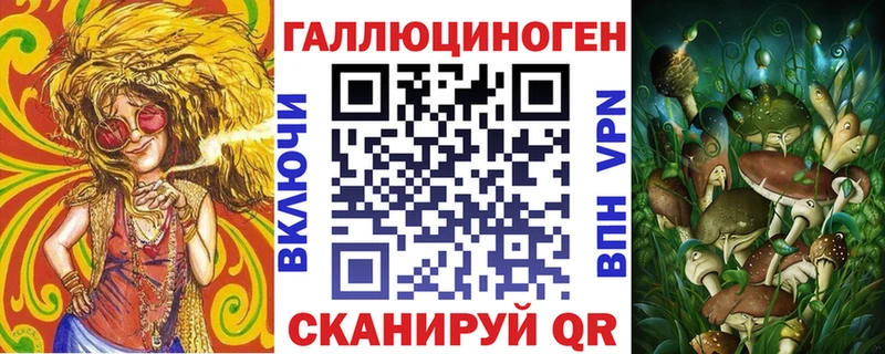 где найти   Палласовка  Галлюциногенные грибы MAGIC MUSHROOMS 